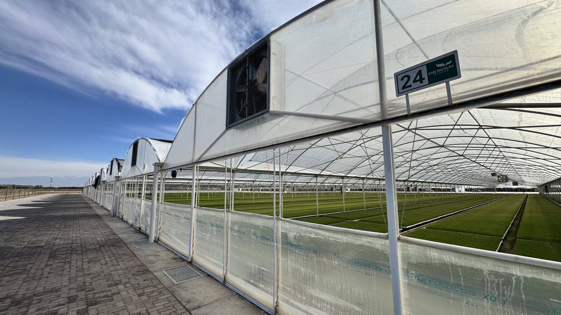 Invernadero tecnificado del Vivero San Nicolás en Mendoza con plantines UCB-1 a escala comercial