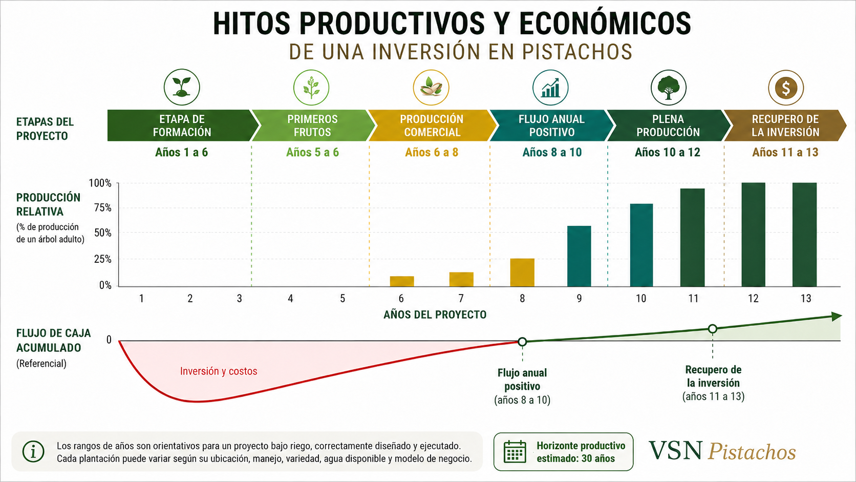 Línea de tiempo de una inversión en pistachos con los rangos de formación, primeros frutos, producción comercial, flujo positivo, plena producción y recupero de la inversión.