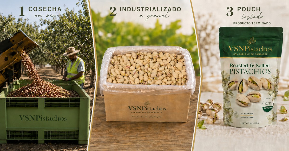 Plantación de pistacho en zona árida con montañas al fondo, representando la producción mundial del cultivo